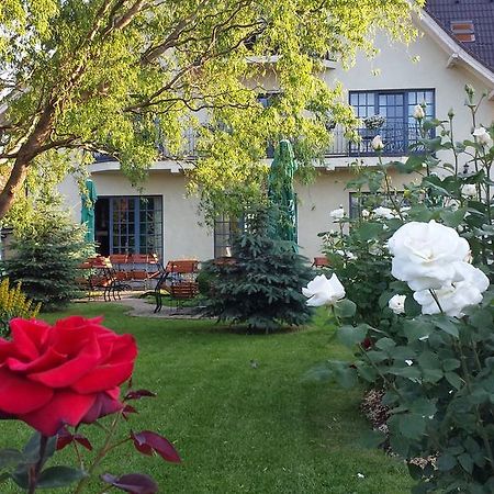 Villa Westfalia Guest House Tîrgu Secuiesc 外观 照片