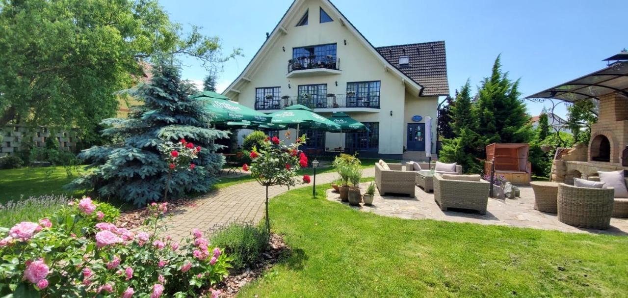 Villa Westfalia Guest House Tîrgu Secuiesc 外观 照片
