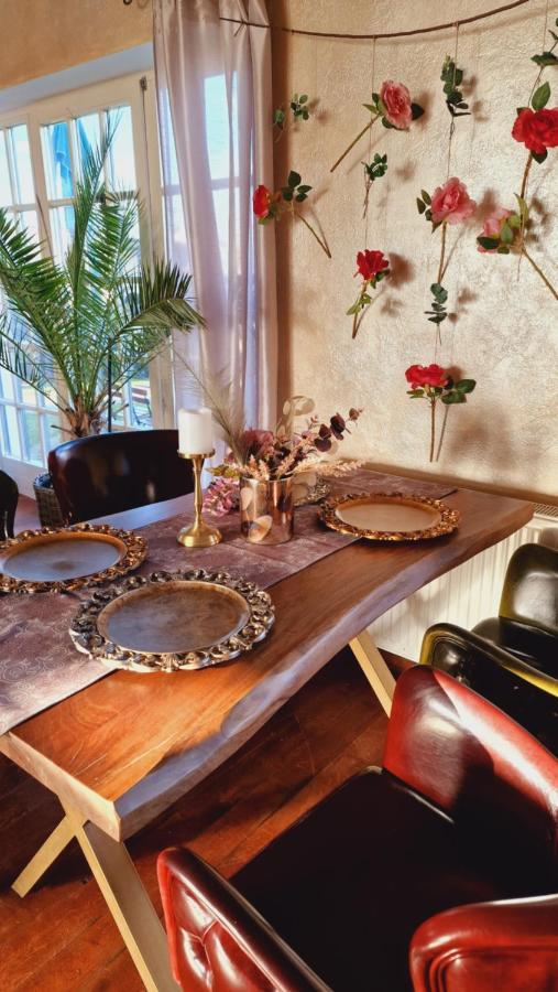 Villa Westfalia Guest House Tîrgu Secuiesc 外观 照片