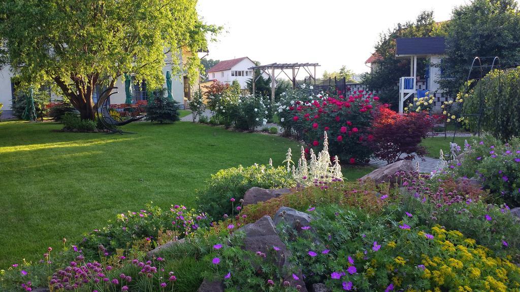 Villa Westfalia Guest House Tîrgu Secuiesc 外观 照片