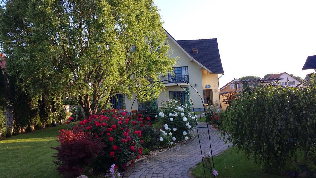 Villa Westfalia Guest House Tîrgu Secuiesc 外观 照片