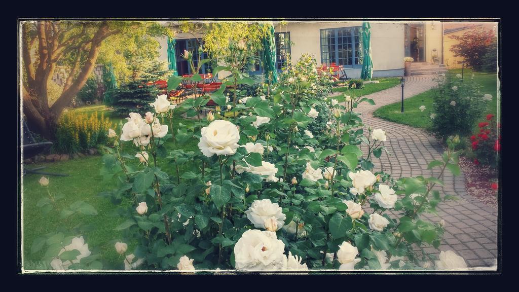 Villa Westfalia Guest House Tîrgu Secuiesc 外观 照片
